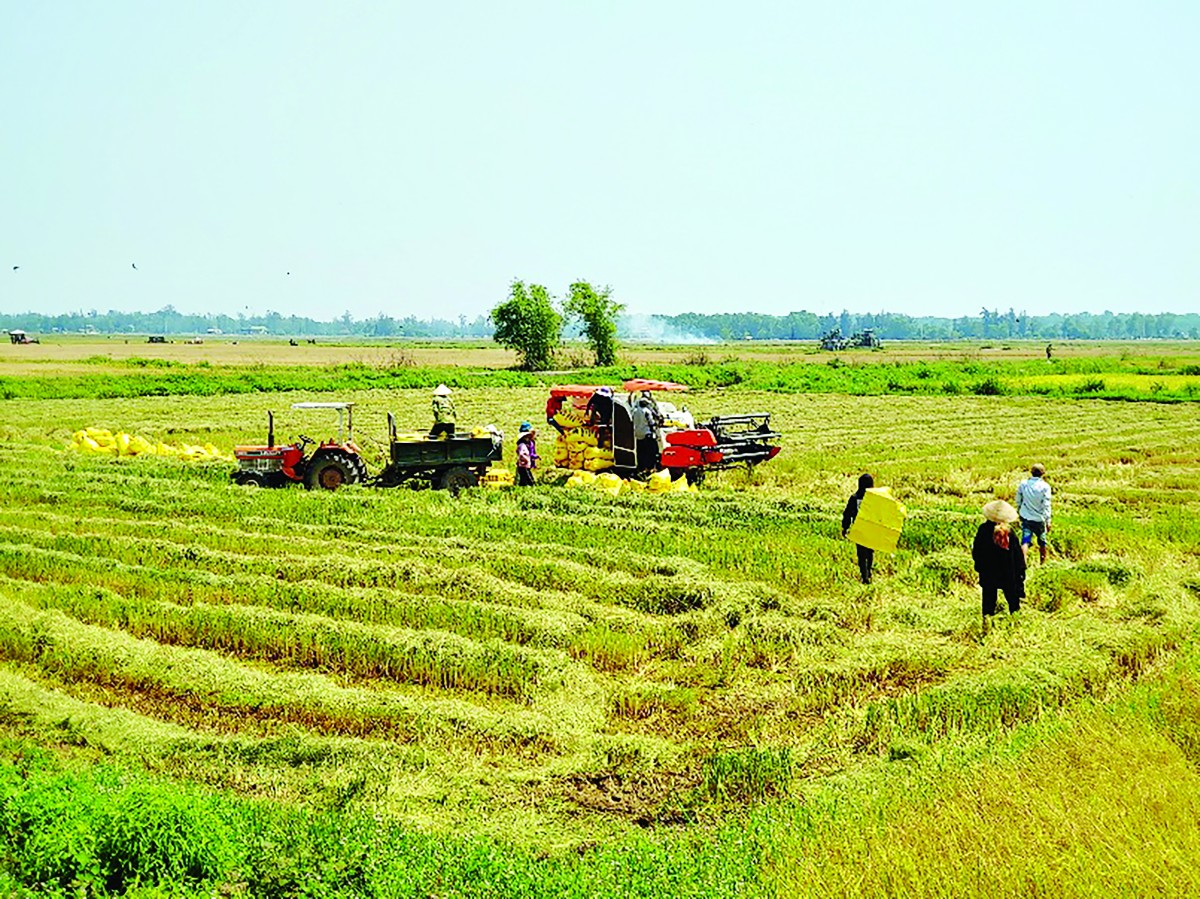 Quảng Trị: Nhiều giải pháp đồng bộ phát triển nông nghiệp hữu cơ và công nghệ cao