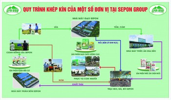 Phát huy các nguồn lực trong phát triển nông nghiệp tuần hoàn qua thực tiễn tại Sepon Group