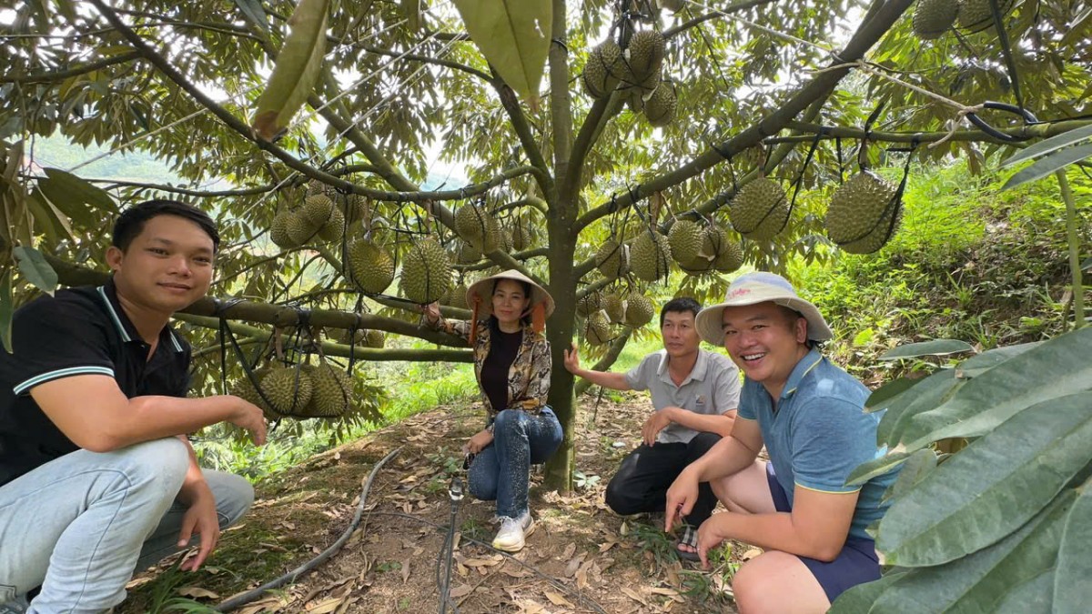 Sakura farm: Nâng tầm nông sản Việt bằng tiêu chuẩn xuất khẩu châu Âu