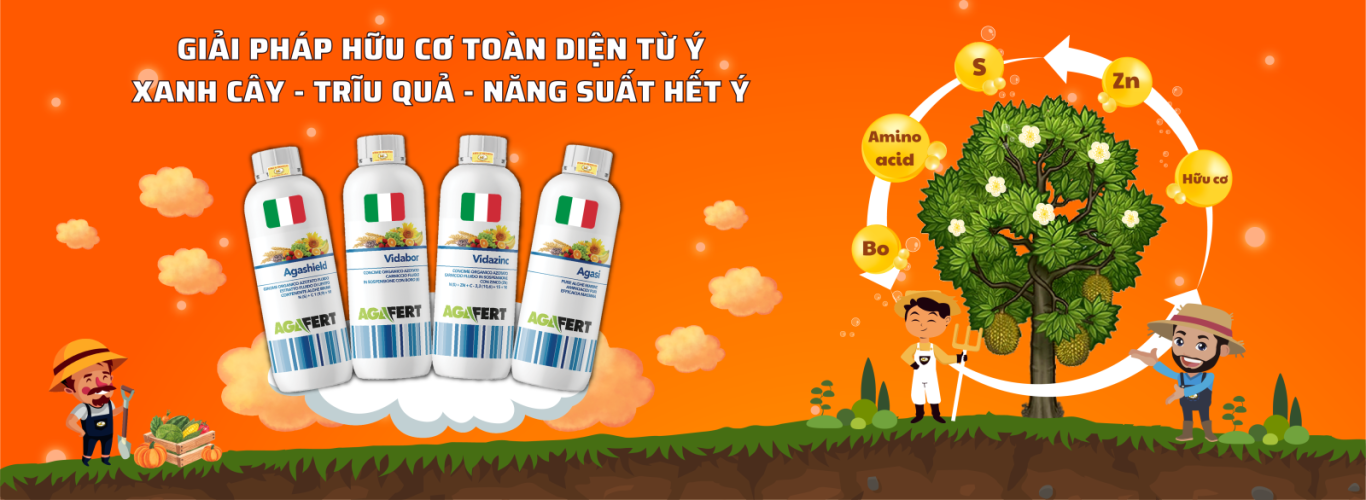 [Longform] Vai trò của Axit Humic trong quá trình chuyển đổi sang nông nghiệp hữu cơ