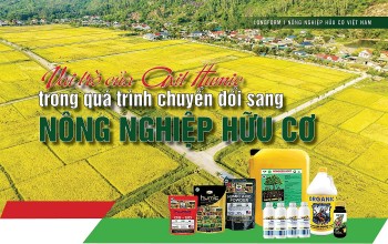 [Longform] Vai trò của Axit Humic trong quá trình chuyển đổi sang nông nghiệp hữu cơ