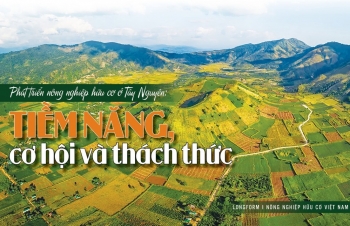 [Longform] Phát triển nông nghiệp hữu cơ ở Tây Nguyên: Tiềm năng, cơ hội và thách thức
