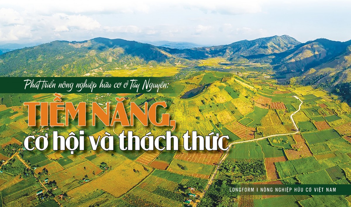 Phát triển nông nghiệp hữu cơ ở Tây Nguyên:  Tiềm năng, cơ hội và thách thức