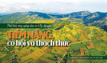 [Longform] Phát triển nông nghiệp hữu cơ ở Tây Nguyên: Tiềm năng, cơ hội và thách thức