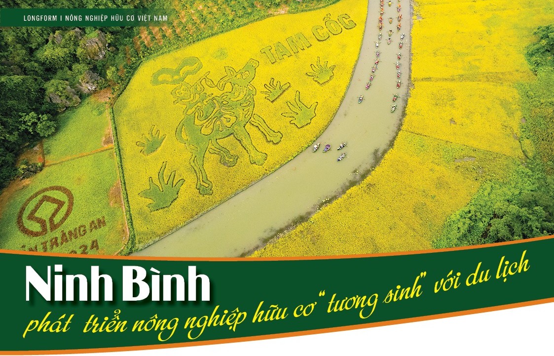 [Longform] Ninh Bình phát triển nông nghiệp hữu cơ “tương sinh” với du lịch