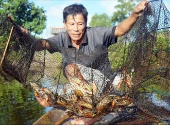 "Mưa thuận gió hòa" cho nông nghiệp Trà Vinh