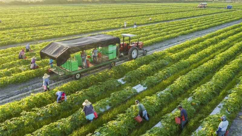 Dòng vốn tỷ đô đổ vào nông nghiệp Thanh Hóa