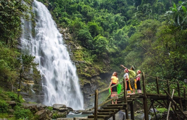 Phát huy đa giá trị lâm nghiệp, tạo sinh kế