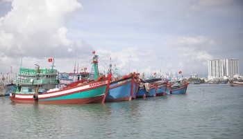 Không để tàu cá 