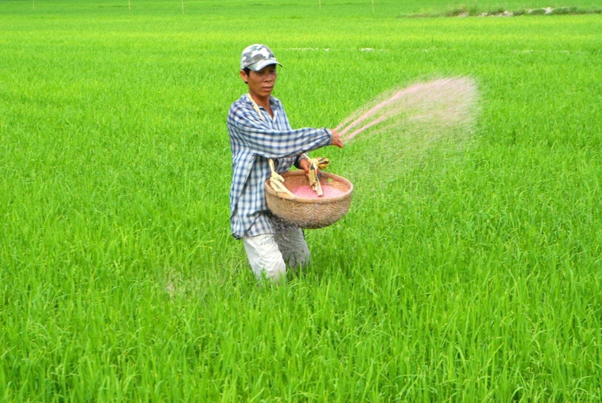 Phân bón chịu thuế VAT: Lợi cả "ba nhà"