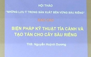 Hội thảo về canh tác cây sầu riêng tổ chức tại TP Cần Thơ thu hút nhiều nhà khoa học