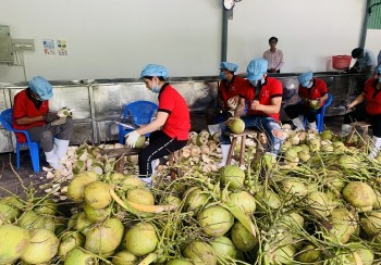 Bình Định mở toang 