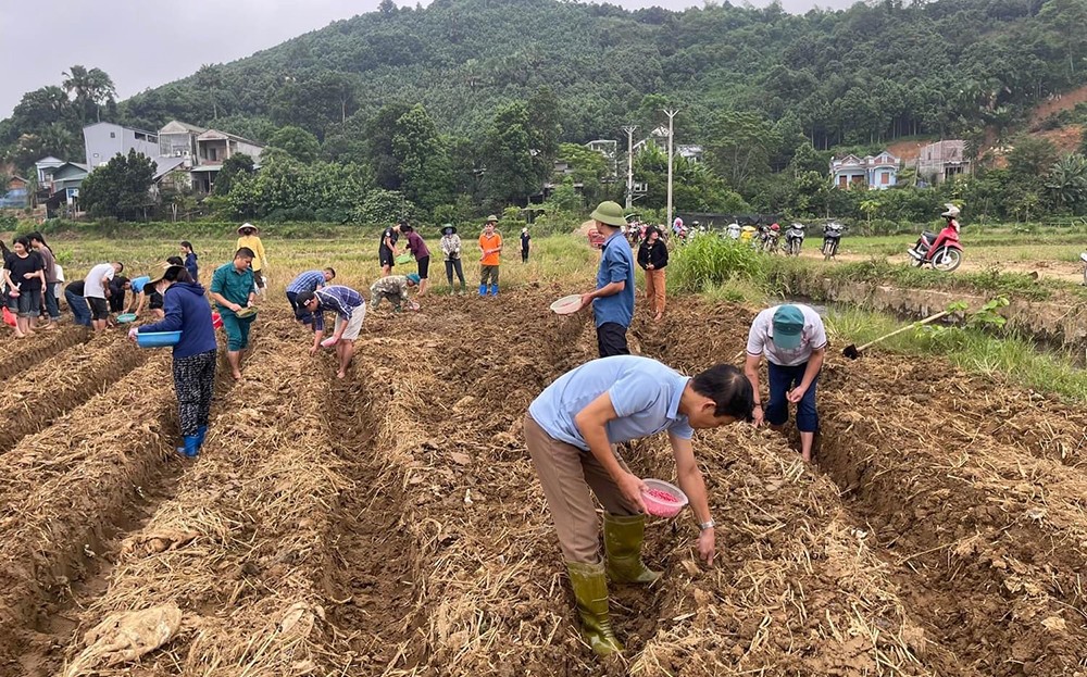 Đẩy nhanh phục hồi sản xuất nông nghiệp, ổn định đời sống nhân dân, góp phần hoàn thành mục tiêu tăng trưởng của ngành nông nghiệp trong những tháng cuối năm 2024 và cả năm 2025 - Ảnh minh họa.