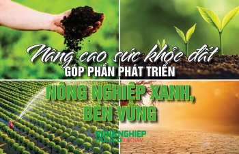 Nâng cao sức khỏe đất góp phần phát triển nông nghiệp xanh, bền vững