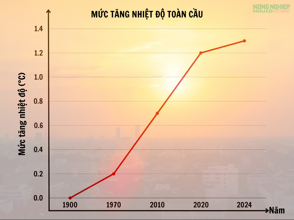 Nóng lên toàn cầu: 100 năm biến đổi khí hậu