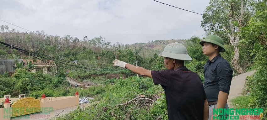 Ông Nguyễn Văn May kể về đám cháy tối ngày 20/10 với PV Nông nghiệp Hữu cơ Việt Nam.