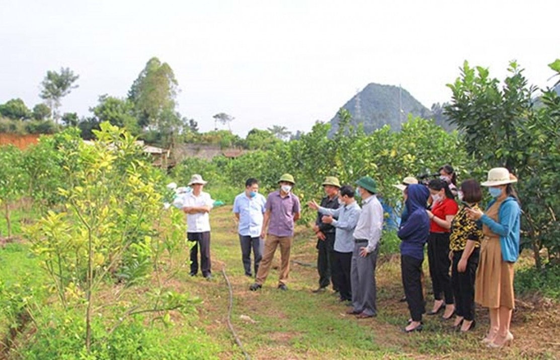 HTX ứng dụng tiến bộ kỹ thuật vào sản xuất hữu cơ