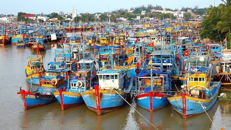 Nước rút gỡ "thẻ vàng" IUU: Bình Thuận tăng tốc