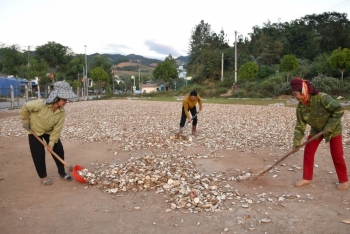 Sốp Cộp "lên đời" nhờ sắn cao sản