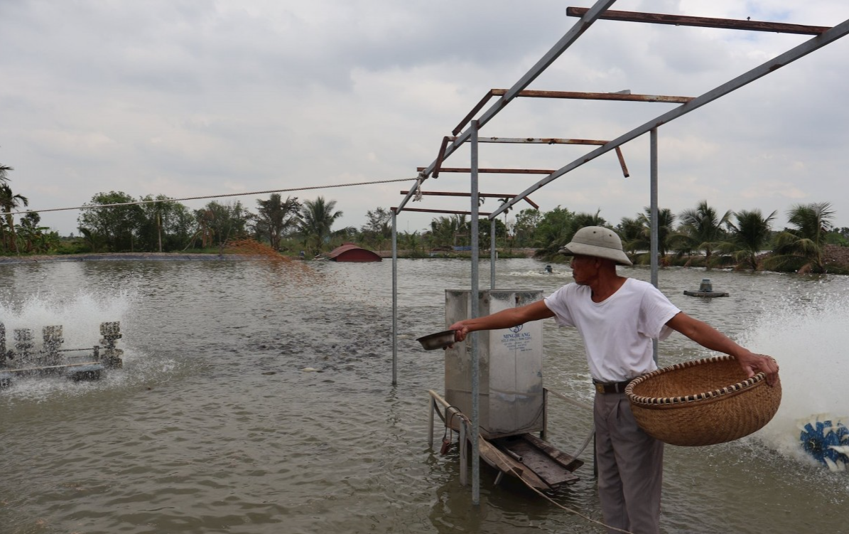 Bỏ ruộng cấy lúa, nuôi thủy sản thu tiền tỷ