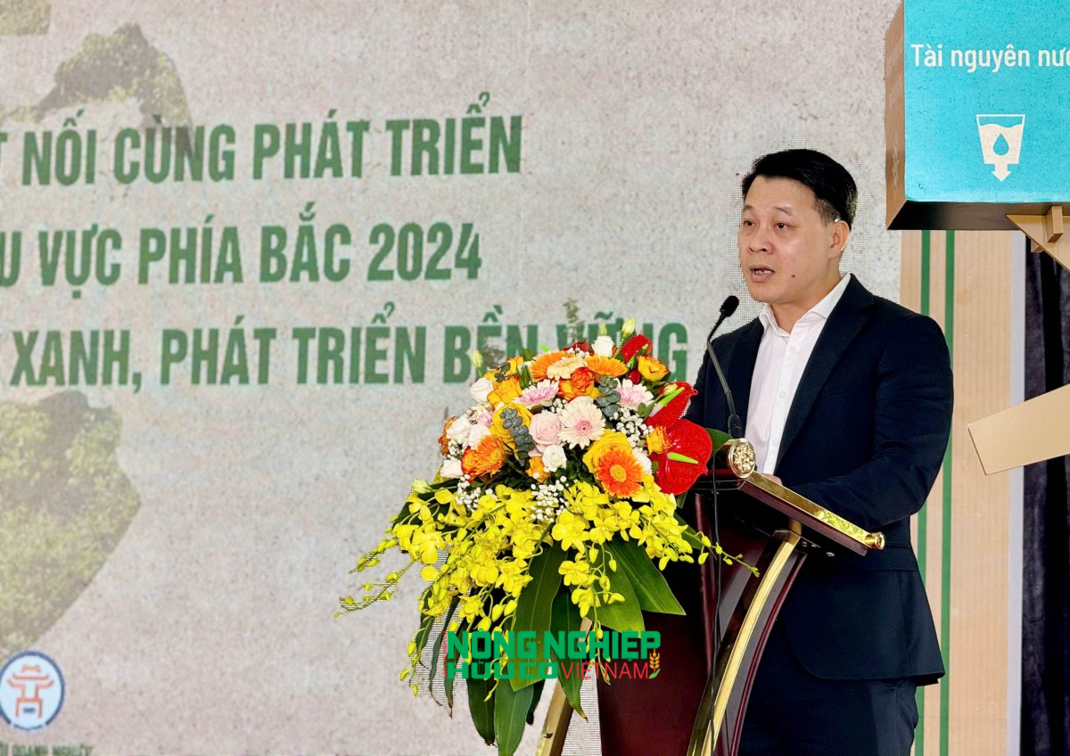 Phó Giám đốc Trung tâm Xúc tiến Đầu tư, Thương mại, Du lịch thành phố Hà Nội Nguyễn Trần Quang phát biểu tại hội nghị.