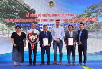 Công ty Cổ phần Cao su Đắk Lắk mở đường vào thị trường EU nhờ chứng nhận FSC