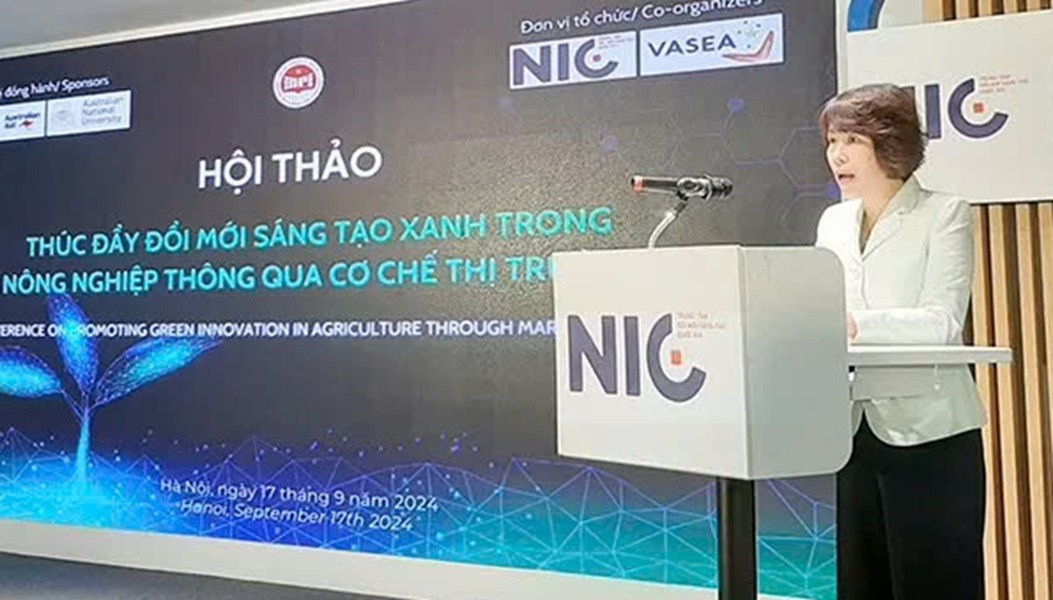 Bà Nguyễn Thị Bích Ngọc - Thứ trưởng Bộ Kế hoạch và Đầu tư.