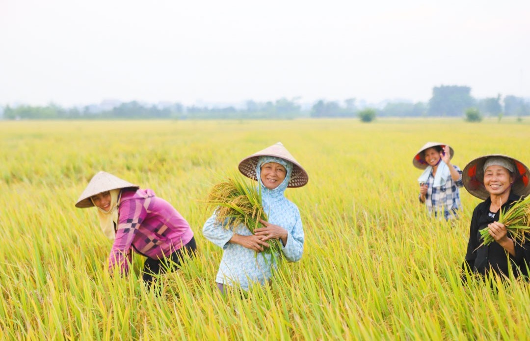 Thúc đẩy đổi mới sáng tạo xanh trong nông nghiệp là yếu tố cốt lõi