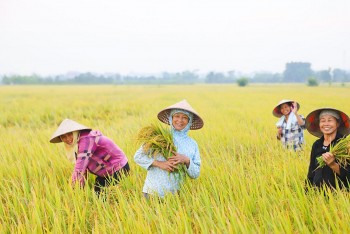 Thúc đẩy đổi mới sáng tạo xanh trong nông nghiệp là yếu tố cốt lõi