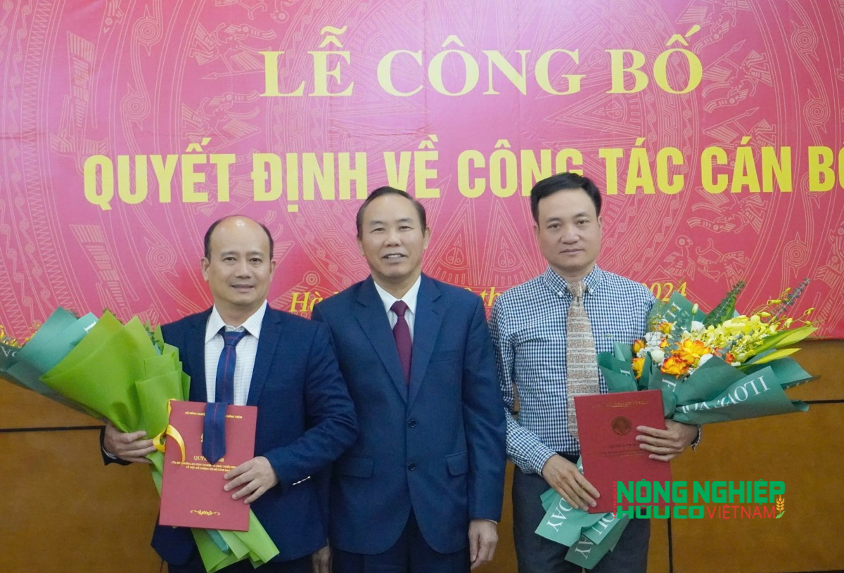 Thứ trưởng Bộ NN&PTNT Phùng Đức Tiến trao quyết định bổ nhiệm Phó Cục trưởng Cục Thủy sản cho ông Vũ Duyên Hải (bên trái) và ông Phạm Quang Toản (bên phải). Ảnh: Hồng Thắm.