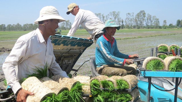 Tái cơ cấu nông nghiệp ở Đồng Tháp: Cần hướng đến sản xuất nông nghiệp hữu cơ