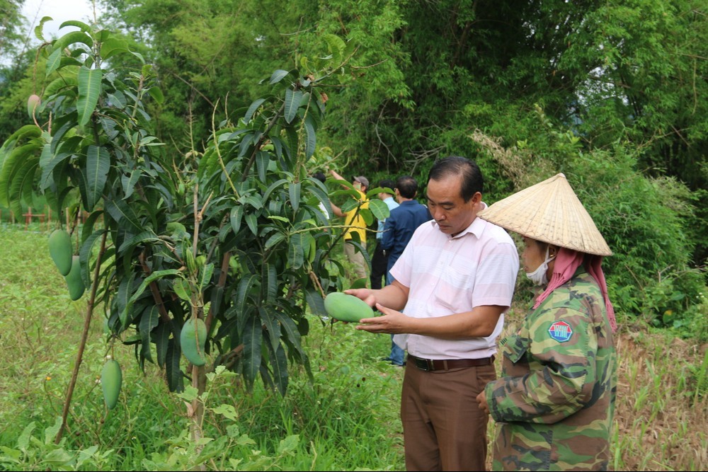 Yên Châu: Tăng tốc giảm nghèo, hướng tới mục tiêu 13% hộ nghèo năm 2025