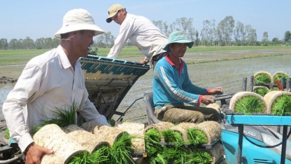 Tái cơ cấu nông nghiệp ở Đồng Tháp: Cần hướng đến sản xuất nông nghiệp hữu cơ