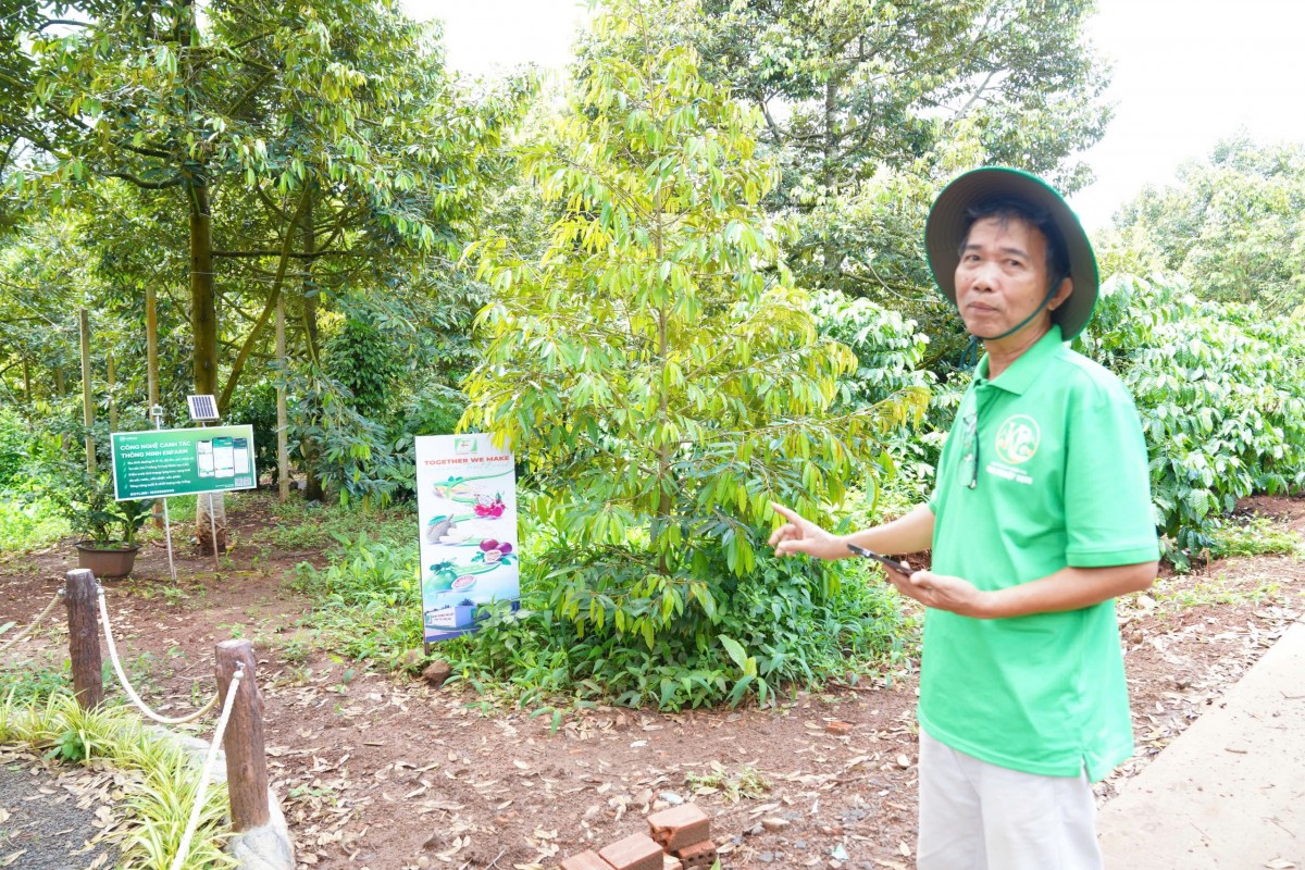 HTX Dịch vụ nông nghiệp sạch: 