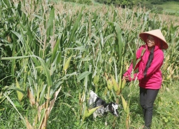 Bình Thuận: Nỗ lực thay đổi diện mạo vùng đồng bào dân tộc thiểu số