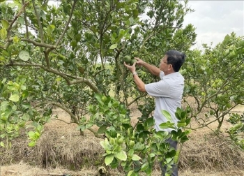 Huyện Vĩnh Cửu, tỉnh Đồng Nai: Hướng đến nền nông nghiệp xanh