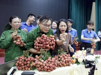 Bắc Giang: Nông nghiệp thông minh nâng tầm nông sản