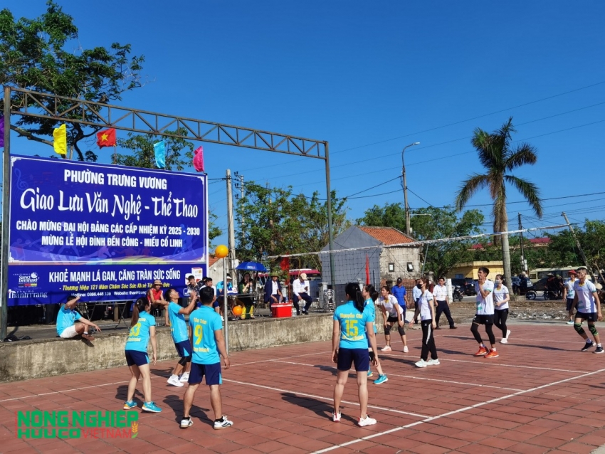 TP Uông Bí: (Quảng Ninh) Tưng bừng lễ thượng Điền đình Đền Công