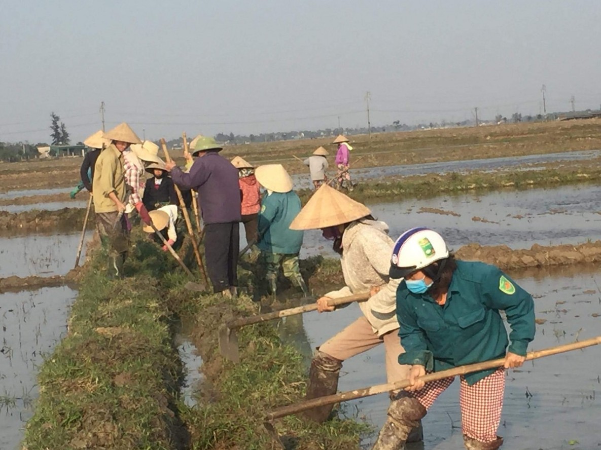 Thạch Bình: Chuyển đổi cơ cấu cây trồng, nâng cao thu nhập