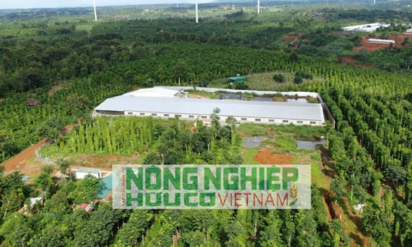 Đắk Nông: Xử phạt trang trại nuôi heo, xả nước thải gây ô nhiễm môi trường