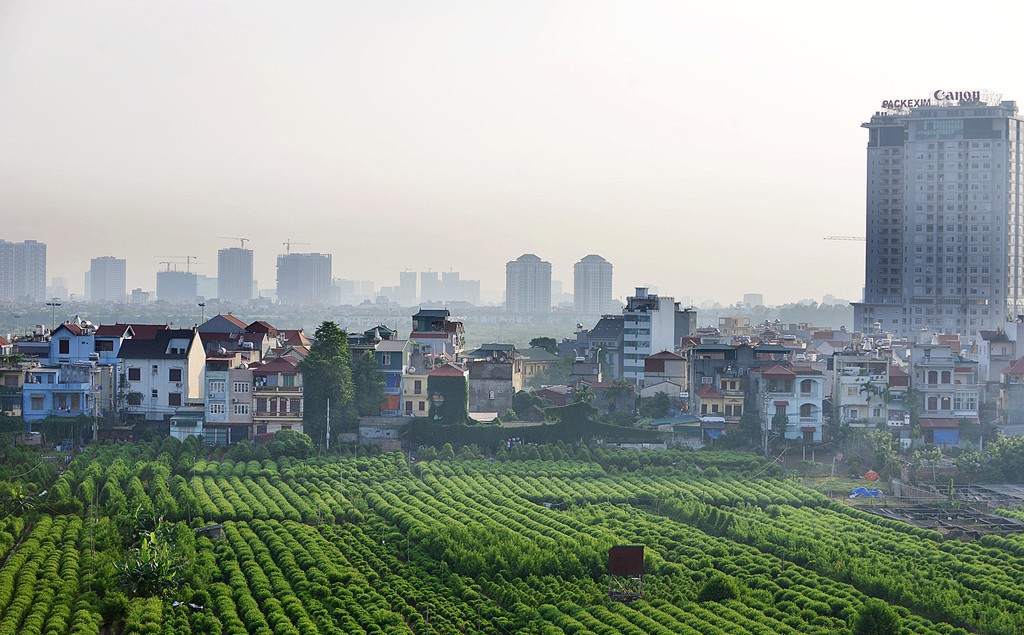 Phát triển nông nghiệp đô thị hướng tới xây dựng đô thị sinh thái bền vững cho tương lai - Ảnh minh họa.