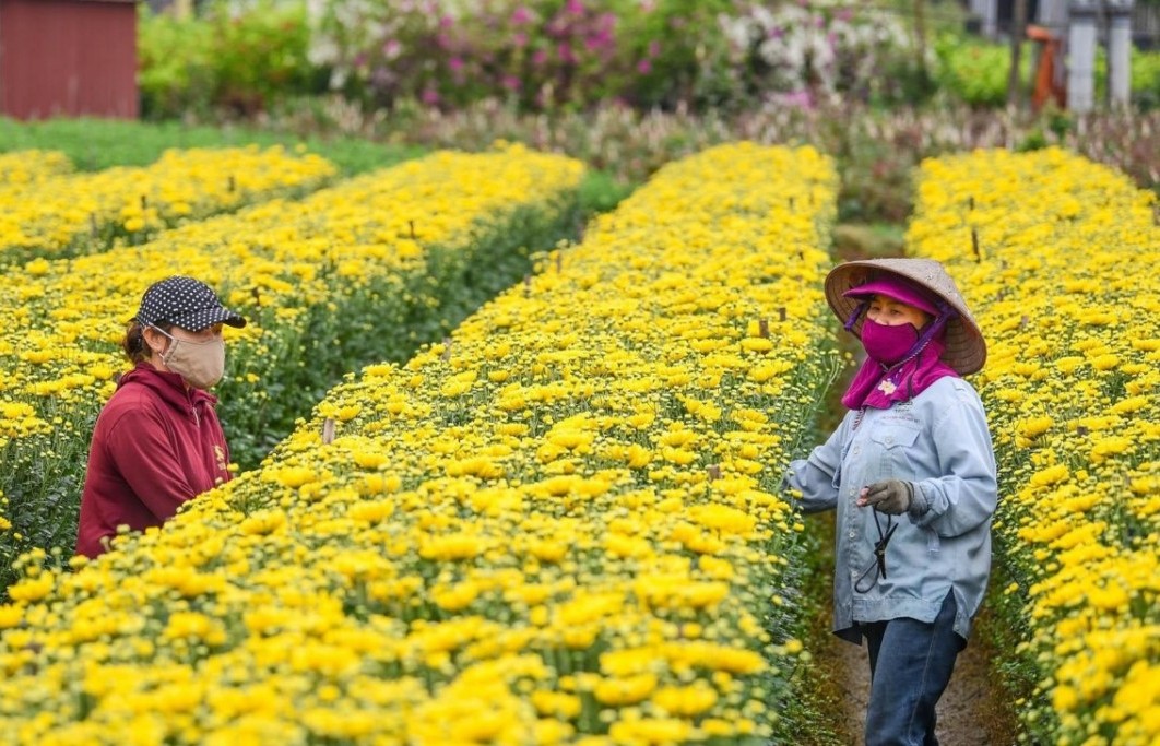 Phát triển nông nghiệp Thủ đô theo hướng nông nghiệp sinh thái, bền vững