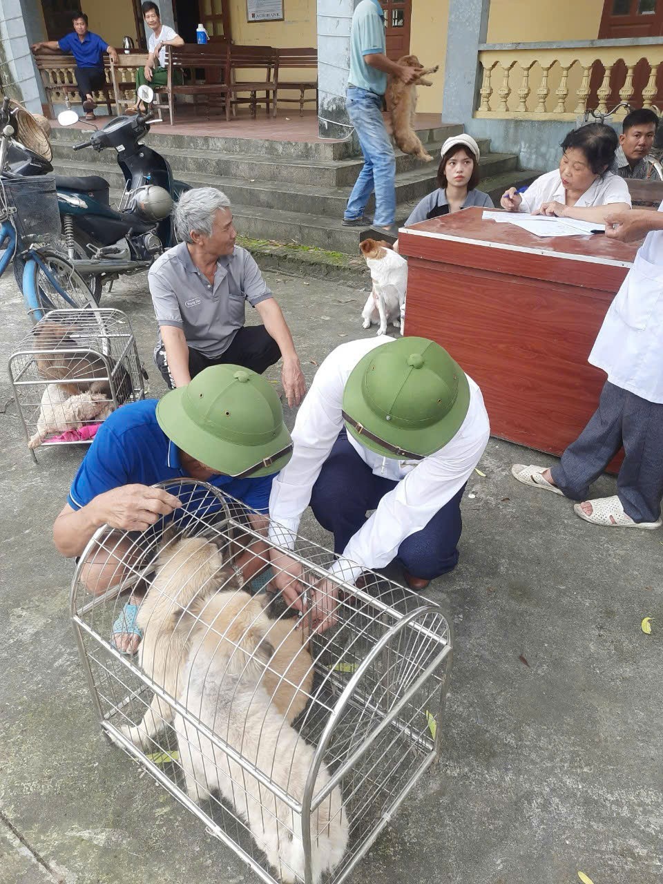 Hải Dương: Kiểm tra công tác tiêm phòng vắc xin cho đàn vật nuôi