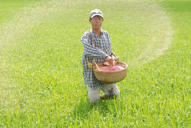 Ảnh minh họa.