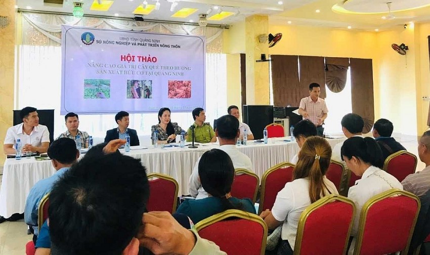 Đại biểu trao đổi tại Hội thảo. Ảnh: Quangninh.gov