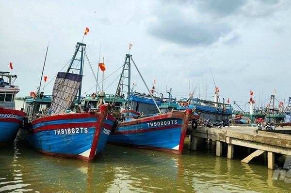 Thanh Hóa công khai danh sách 506 tàu cá có nguy cơ cao vi phạm IUU