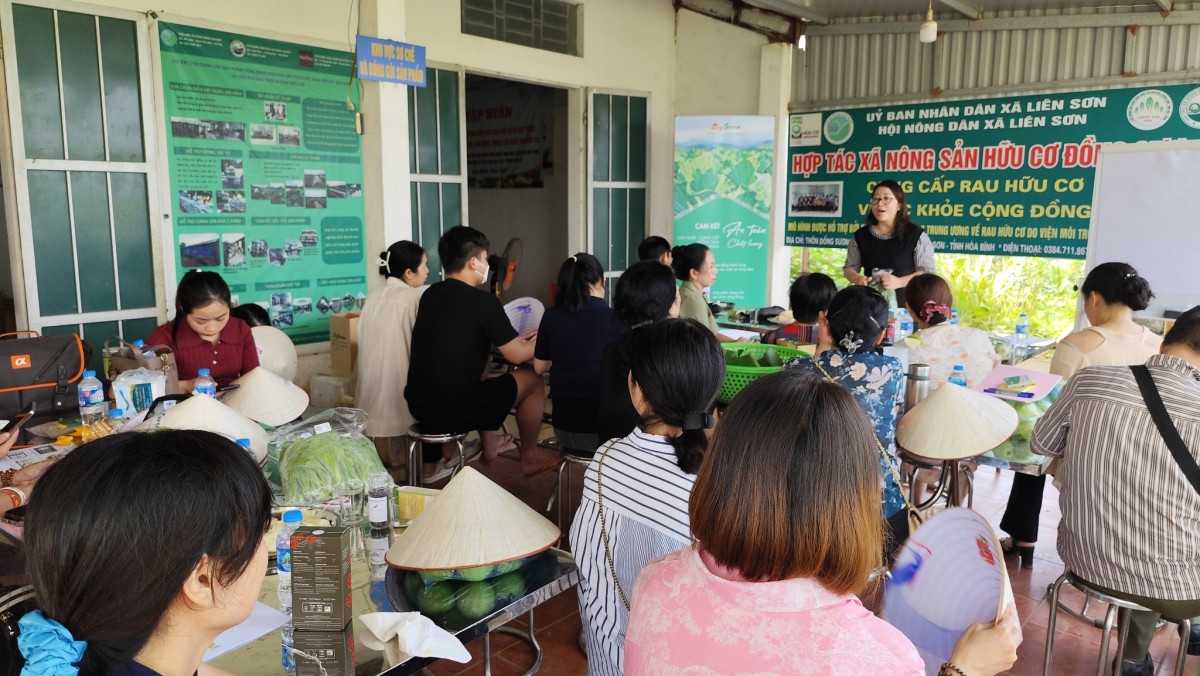 Kết nối người tiêu dùng với nông dân: Hành trình khám phá rau hữu cơ tại Hà Nội