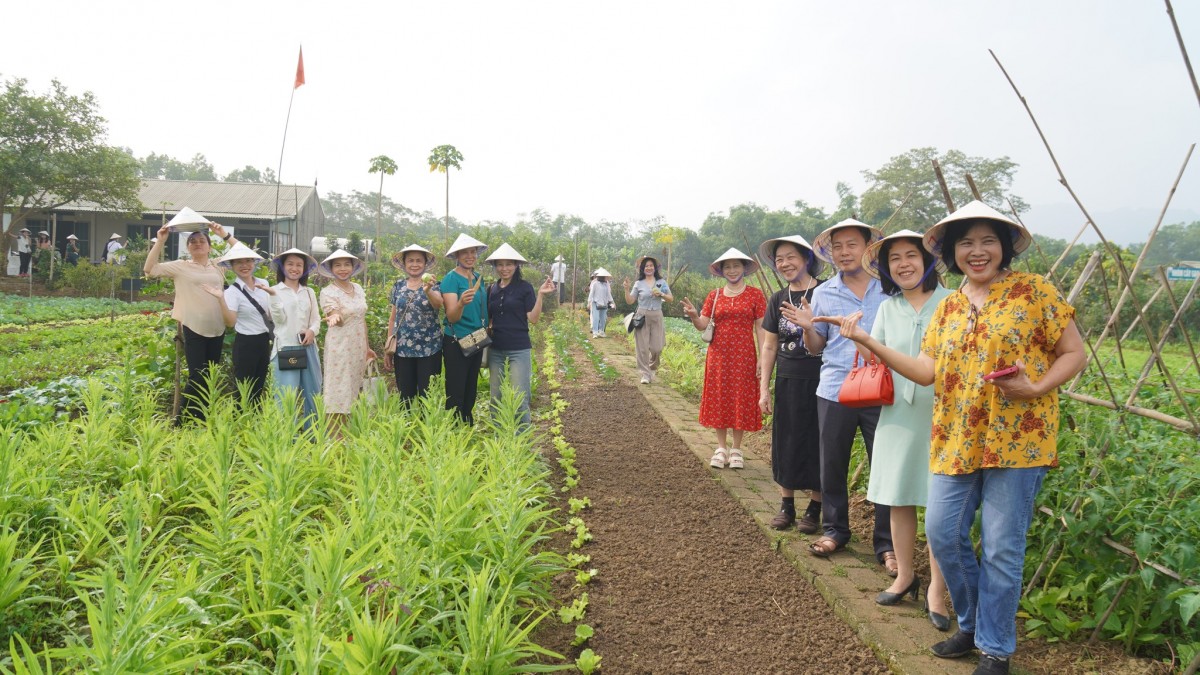 Kết nối người tiêu dùng với nông dân: Hành trình khám phá rau hữu cơ tại Hà Nội