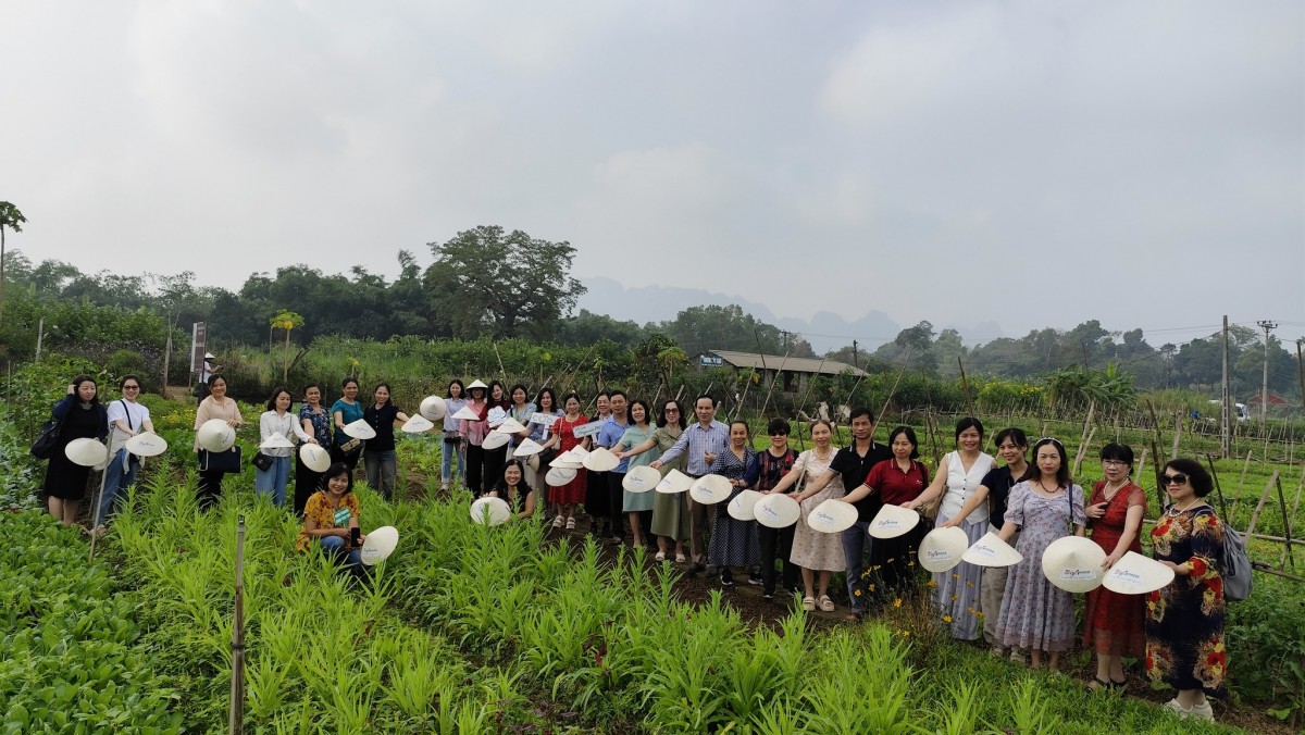 Kết nối người tiêu dùng với nông dân: Hành trình khám phá rau hữu cơ tại Hà Nội