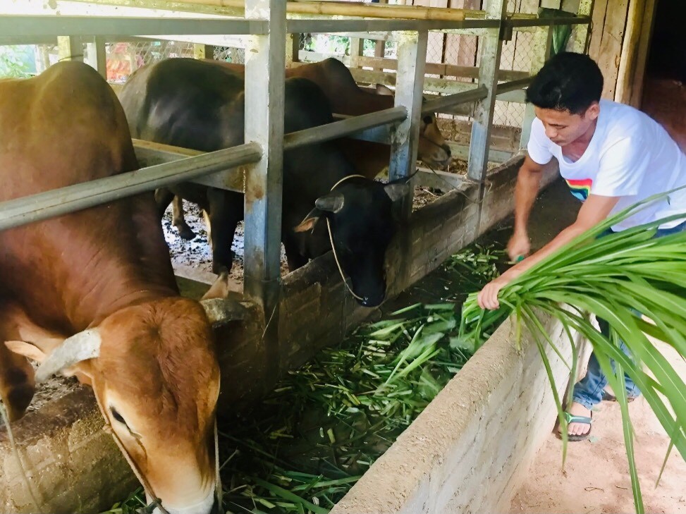 Cao Bằng: Dự án hỗ trợ kinh doanh cho nông hộ góp phần thực hiện hiệu quả giảm nghèo